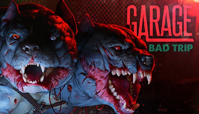 garage bad-trip